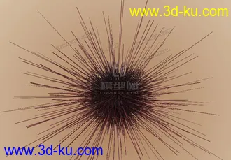 写实海胆模型的图片