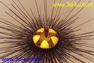 写实海胆模型的图片