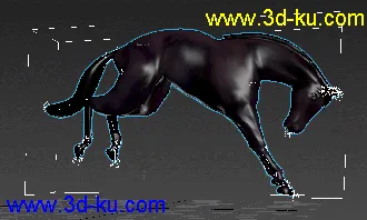 3D打印模型马 奔跑 三角面 动画 FBX的图片