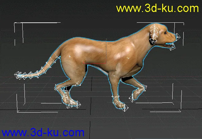 黄狗 狗 狗奔跑 绑定 动画 模型下载 fbx的图片1