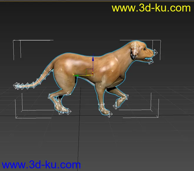 黄狗 狗 狗奔跑 绑定 动画 模型下载 fbx的图片2