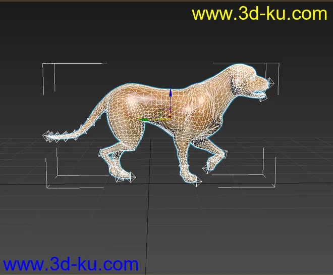 黄狗 狗 狗奔跑 绑定 动画 模型下载 fbx的图片3