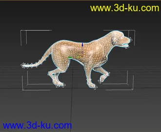 黄狗 狗 狗奔跑 绑定 动画 模型下载 fbx的图片