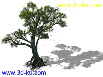 3D打印模型3转2精细大树的图片