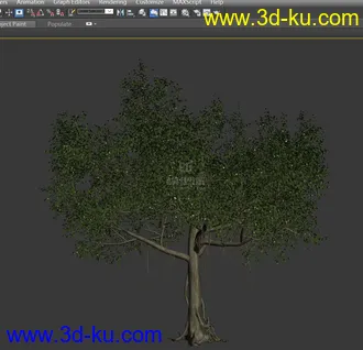 3D打印模型古树-参天大树-槐树-树藤的图片