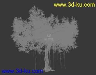 3D打印模型古树-参天大树-槐树-树藤的图片