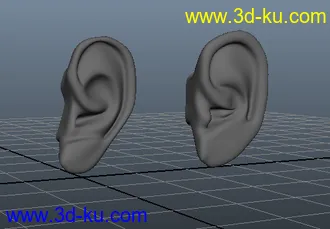 3D打印模型人体器官，，耳朵练习，，，，，，，的图片