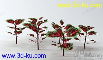 3D草模型的图片