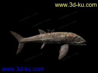 3D打印模型远古时期利兹鱼的图片