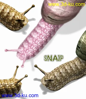 蜗牛模型，带动画的的图片