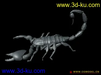 超精细蝎子模型的图片