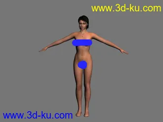 3D打印模型女人体的图片