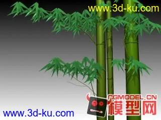 我收藏的竹子模型!的图片1