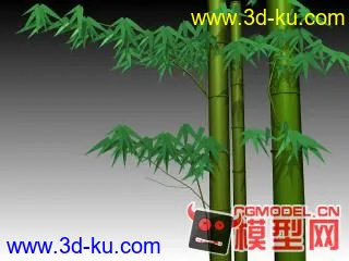 我收藏的竹子模型!的图片