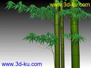 我收藏的竹子模型!的图片2