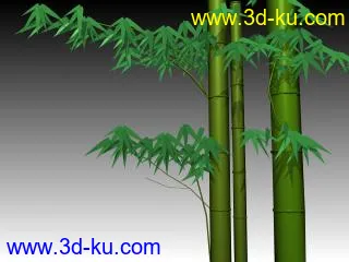 我收藏的竹子模型!的图片