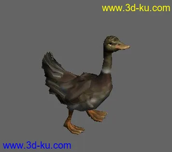 游戏鸭子的模型  带骨胳动画的图片1