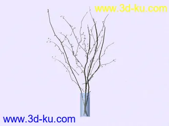 3D打印模型高级装饰品和植物!的图片