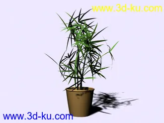 3D打印模型高级装饰品和植物!的图片