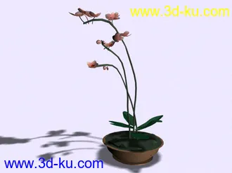 3D打印模型高级装饰品和植物!的图片