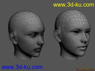 去三角面之后的 FF12 女主角头部模型的图片