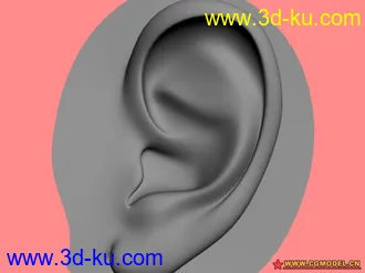 3D打印模型耳朵的图片