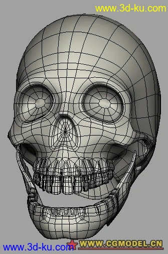 骷髅模型的图片1