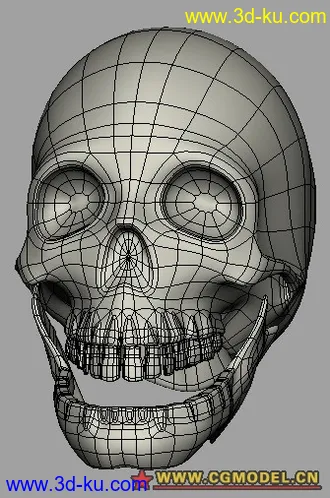 3D打印模型骷髅的图片