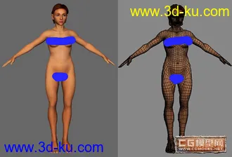 3D打印模型早期做的女人体(1),大家看看的图片