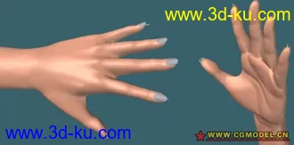 超漂亮的手部  Sub模型 可編修的图片