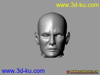 人头模型的图片
