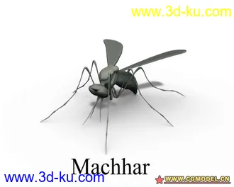 3D打印模型蚊子的图片