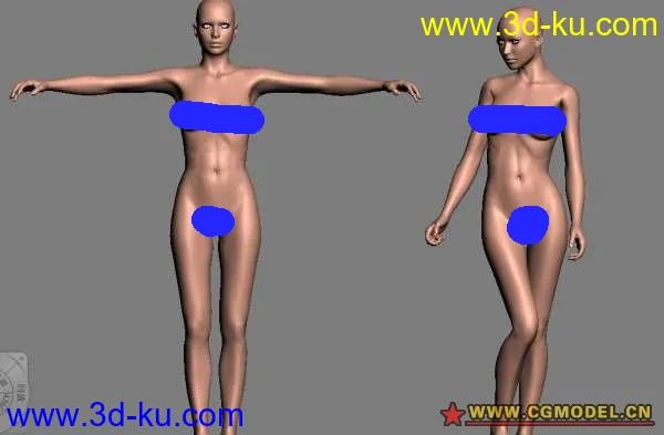 两个女人体模型的图片1