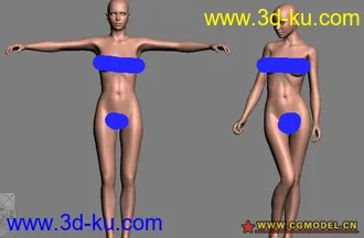 3D打印模型两个女人体的图片