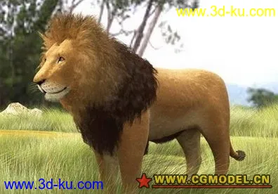 非洲狮子模型的图片1