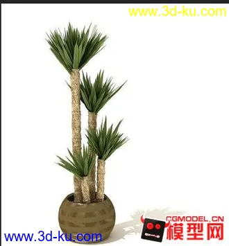 3D打印模型非常现代植物摆设(含材质)的图片