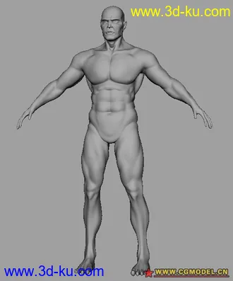 发个刚做的人体模型的图片