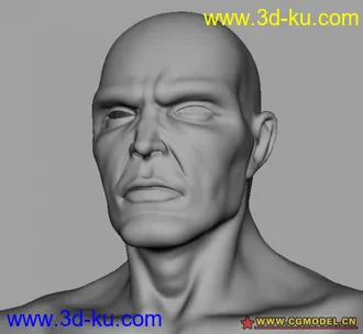 发个刚做的人体模型的图片