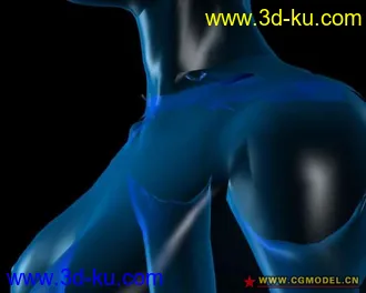 3D打印模型大脑A-三角区的图片