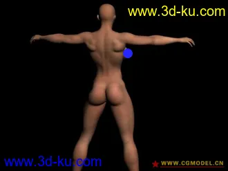 3D打印模型肌肉美女的图片