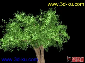 3D打印模型细节超丰富的大树的图片