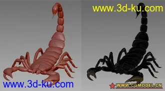 3D打印模型蝎子一只的图片