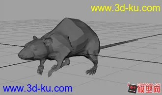 老鼠模型的图片