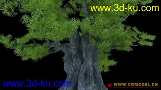 3D打印模型古树的图片