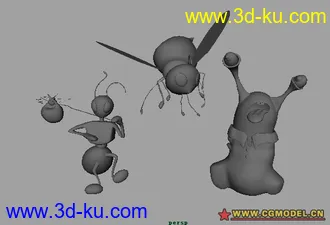 生物模型的图片