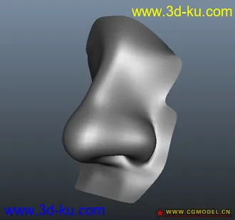 3D打印模型鼻子的图片