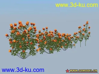 rose玫瑰花超级模型一套！！的图片
