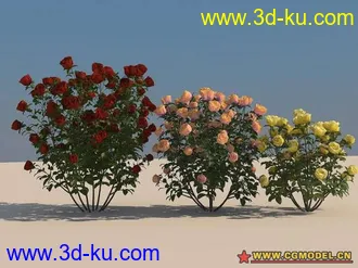 rose玫瑰花超级模型一套！！的图片