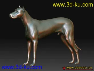 一只狗模型-ZB的图片