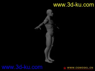 3D打印模型标准男人体的图片